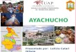 AYACUCHO EXPOsicion Leticita
