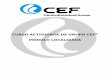 Manual de Ginástica Localizada CEF_2011.pdf