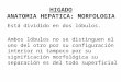 Higado Doc.mejia -Cirugia