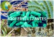 Bio Fertilizantes