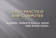 Caso Practico Kiwi Computer