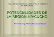 Ventajas Comparativas de Ayacucho Ing. Marino Huayhua