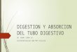 Fisiologia - Digestión y Absorción