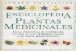 Enciclopedia de plantas medicinales