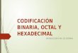 Codificación Binaria, Octal y Hexadecimal
