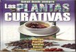 Las Plantas Curativas - Sanan Desde Siempre - JPR504