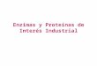 Tema 5.6 Enzimas y Proteinas de Interes Industrial - Alumnos
