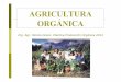 Agricultura Organica