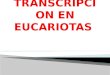 Regulacion de La Transcipcion en Eucariontes (2)