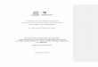 Informe IIPE UNESCO Control de Cambios y Comentarios