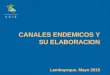 Canal Endemico