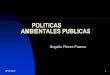 Politicas Ambientales Publicas