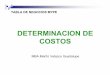 Determinacion de Costos-P.e-mype (CONOCIMIENTO) (1)
