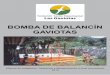 GAIVOTA_Bomba de Balancin