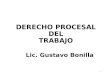 DERECHO PROCESAL LABORAL COLECTIVO.para 1er Parcial-1 4to Envio Version Final