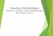 Clase Myca Hidrobiologico