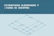 (Serie de Matemática. Monografía No. 22) Merklen, Héctor a.-estructuras Algebraicas v (Teoría de Cuerpos)-OEA (1979)