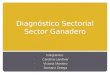 Diagnostico Sectorial Sector Ganadero