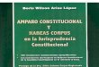 Amparo y Habeas Corpus