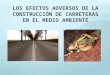 Los Efectos Adversos de La Construcción de Carreteras