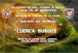 Cuenca Burgos geología del petróleo