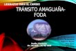 Transito Amaguaña 1