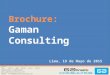 Gaman Consulting - Brochure Resumen Mayo 2015