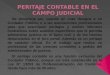 Peritaje Contable en El Campo Judicial Diapositiva