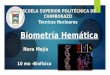 Biometría Hemática