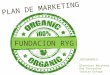 Plan de Marketing Fundacion RYG Organic