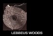 Lebbeus Woods