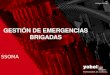 Gestión de Emergencias ( Brigadas )