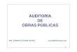 AUDITORIA DE OBRAS PUBLICAS