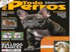 Revista TODO PERROS Diciembre 2010 Enero 2011