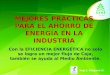 Mejores Practi Cas - Ahorro Energia Industria - Bala-Anaecoene-2015-i