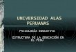 Estructura de La Educacion en El Peru