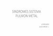 Síndromes Del Sistema Pulmón - Metal (1)
