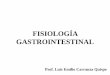 Fisiología Gastrointestinal