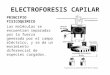 ELECTROFORESIS CAPILAR