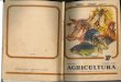 Agricultura 7 - 1984