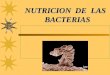 Nutrición bacteriana