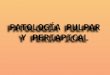 Patolog­a Pulpar y Periapical endo