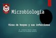Micro Biolog í A