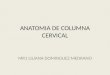 Anatomia de Columna Cervical