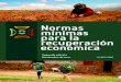 Normas Minimas para la Recuperacion Economica MERS
