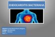 Endocarditis Bacteriana 2