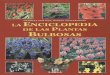 Van Dijk Hanneke - La Enciclopedia de Las Plantas Bulbosas