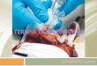 Transfusión de Concentrados Eritrocitarios y Plaquetas