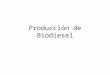 Producción de Biodiesel