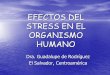 Efectos Del Stress en El Organismo Humano PDF